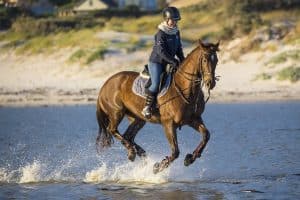 sport equestre - camping des sources