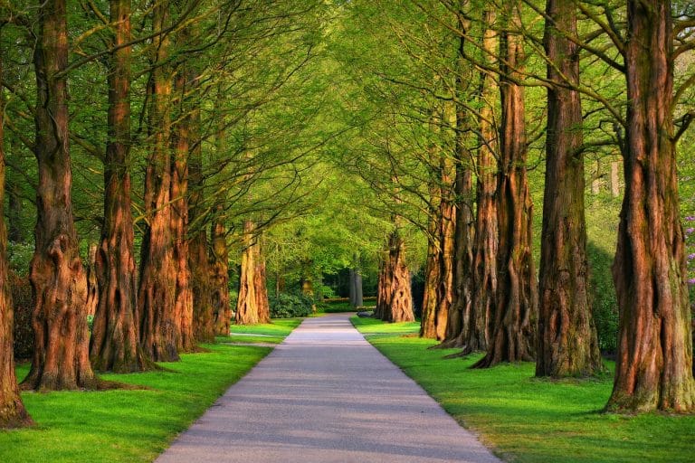 Le Parc Naturel Régional des Grands Causses - camping des sources